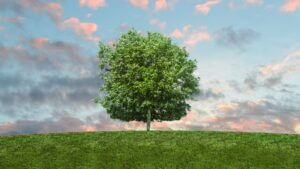 Read more about the article How to complete a waste transfer note