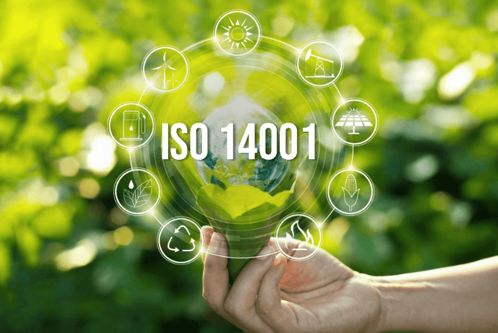 Read more about the article The Top Questions Asked About ISO 14001